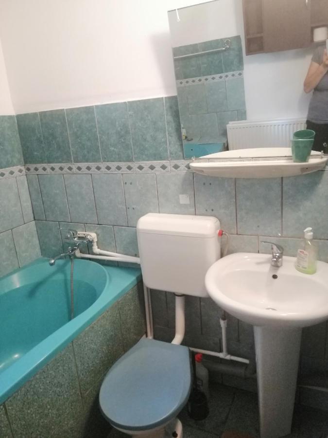 Moss'S Economy Apartment Temesvár Kültér fotó